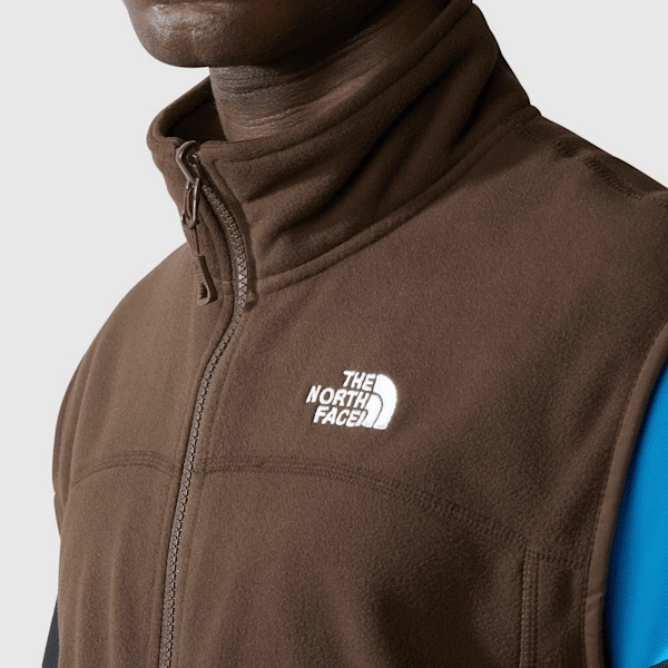 Men's 100 Glacier Gilet