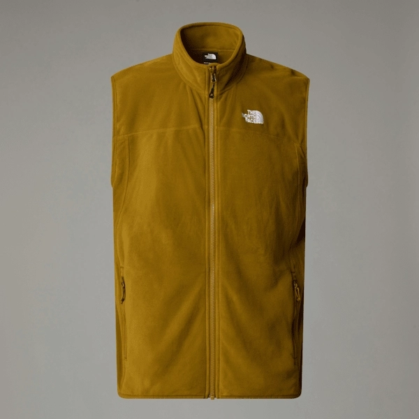 Men's 100 Glacier Gilet