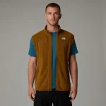 Men's 100 Glacier Gilet