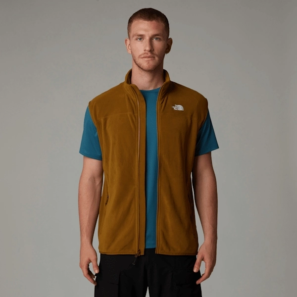 Men's 100 Glacier Gilet