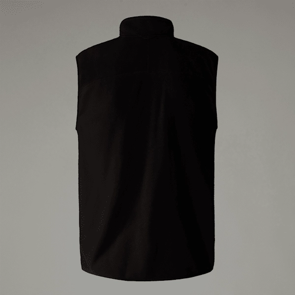 Men's 100 Glacier Gilet