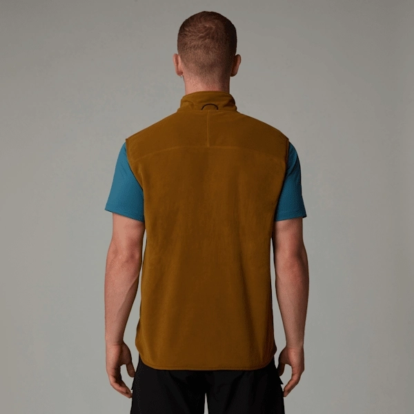 Men's 100 Glacier Gilet